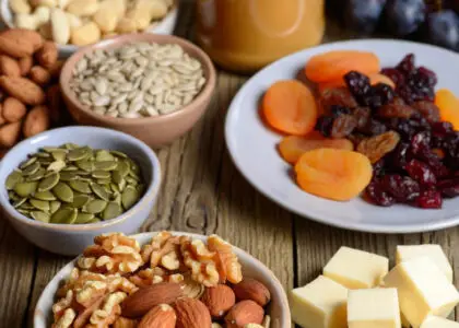 High-Protein Snacks for Busy Lifestyles